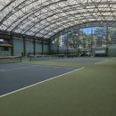 서귀포테니스장(실외) 이미지