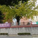 부산대신중학교 이미지