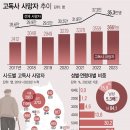 [긴급진단] 통계로 보는 복지 사각지대, 근로빈곤층 300만 명의 현실 이미지
