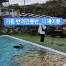 디제이 뭉 이미지