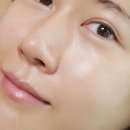 에스아이스파