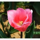 잔치마을 이미지