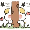 원뷰티스킨케어홍성