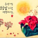 표가네안경, 보청기 이미지