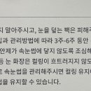 라인뷰티 이미지