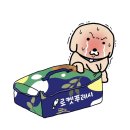 퉁퉁퉁 삼워르 (사진283개 ㅋㅋ 이럴거면 걍 브이로그를 찍어)