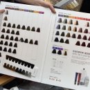 레아헤어 이미지