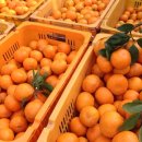 드랑드랑 이미지