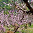 문촌1리 이미지