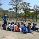 경운초등학교 이미지