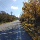 나진청하가든 이미지