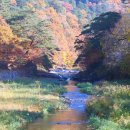 공작산주차장 | 홍천 가볼만한곳, 수타사와 공작산생태숲의 가을 연가(戀歌)