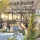 페브러리래빗 이미지