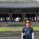 신효동 하귤나무 이미지