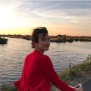 가쯔레쯔 이미지