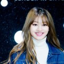 푸린이네 이미지