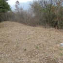 겸면 흥복 이미지