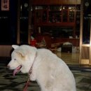 세마그린요양병원 이미지