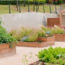 텃밭가꾸기 이미지