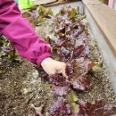 연제구치매안심센터 이미지