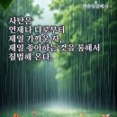 1구역 [4/19(일) 72가정 124가정 430가정777가정 선배님들 열여섯분 모시고 점심 화동의 시간을 가졌습니다] 이미지