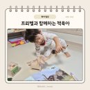 엄마의 그림책 놀이 | 책 육아하는 엄마의 프뢰벨 토탈 찐 후기 "함께 책육아 해요!"