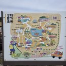 고령IC - 1100 | 고령 무료물놀이 고령 가볼만한 곳 대가야생활촌