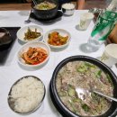 유구읍사무소 화장실 | [공주시] 유구 수국(유구색동수국정원) 개화상황, 실시간(유구색동수국 꽃축제 및 주차정보) 2024.06.13