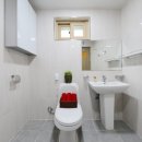 가평금잔디 이미지