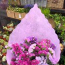 부평우일 이미지