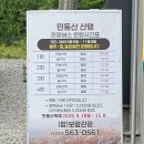 강원도 정선 여행, 당일치기 가볼만한곳ㅣ민둥산 돌리네, 정선 5일장, 팔도 식당, 단임길 카페 후기