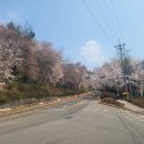 팔달산로 이미지