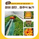 한국소상공인교육진흥원