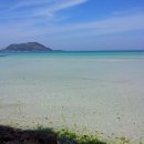 코롱코롱 이미지