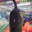 라라랜드(영통점) 이미지