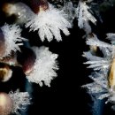 겨울아침창가에서 이미지