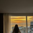 당신의안목 그라스 이미지