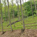 은해 농장 이미지