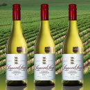 청솔자동차 이미지