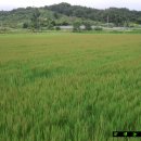 오색농장 이미지