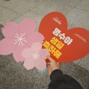 2026 김명수 생일 파티 || 'Every day, L+ovely day' 시즌 3 후기