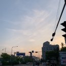 5월의 일상 :: 3주차