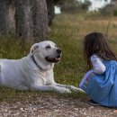 능곡동물병원 이미지