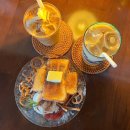 코코애견클럽 이미지