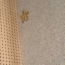 신우세탁소 이미지