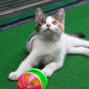 반포자이동물병원 이미지