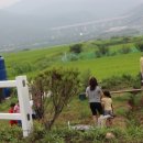 봉좌농장 이미지