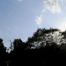 밤 하늘의 별 따라 이미지