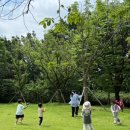 교하중앙공원 이미지