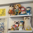 내방안 고양이 이미지